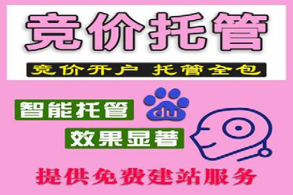 百度竞价托管：案例中的营销智慧